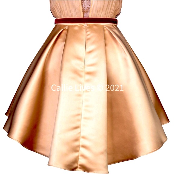 Callie Sequin & Satin: Elisabetta Franchi Dress - Picture 6 of 6